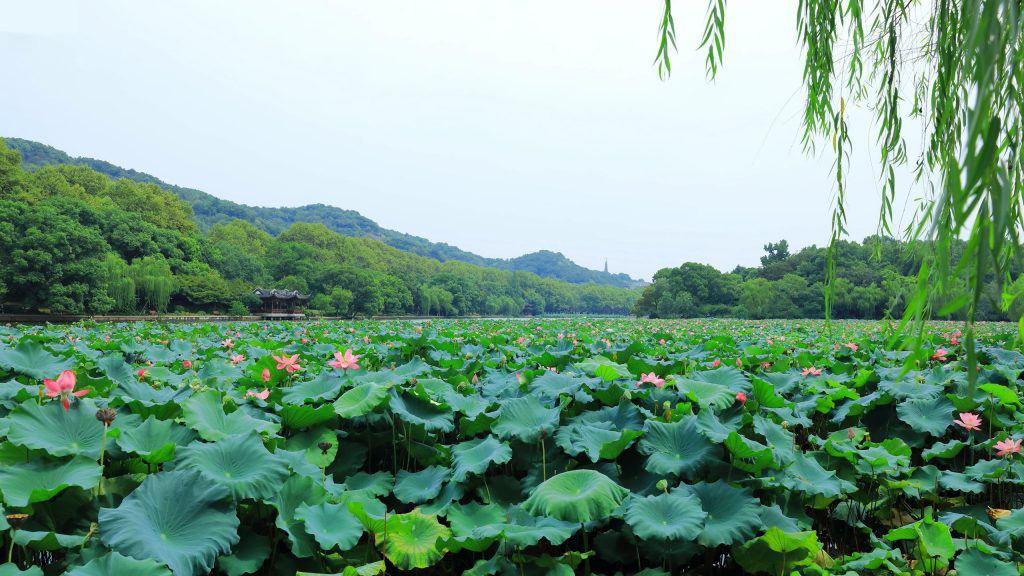 Hangzhou City Tours