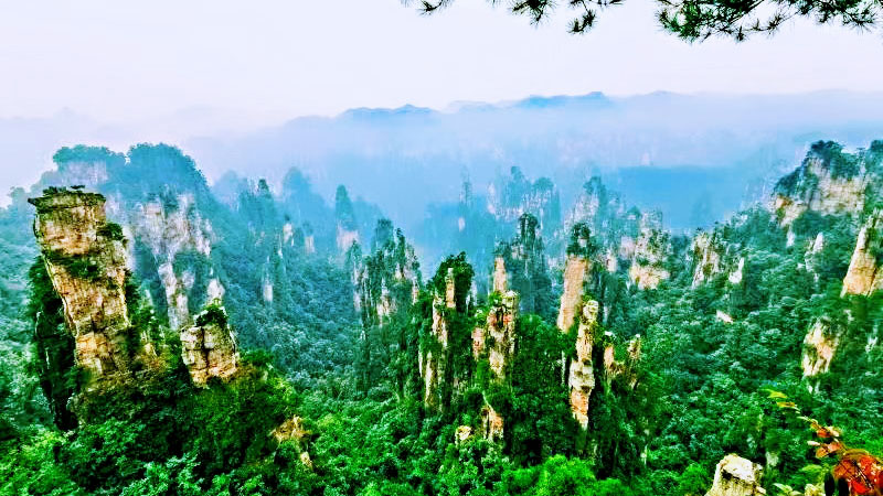 Zhangjiajie City Tours