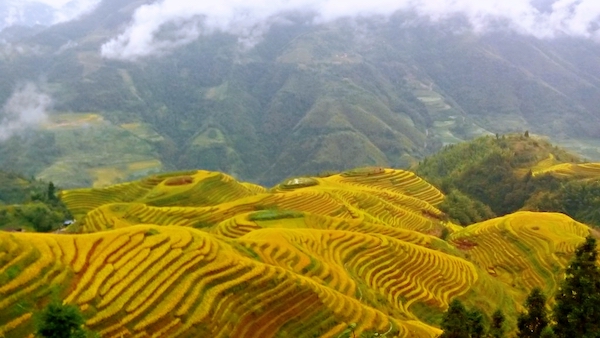 yangshuo_rice_field_2的副本.jpg