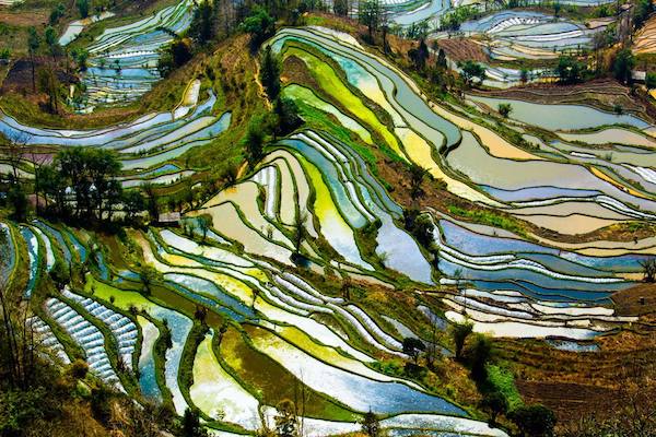 yunnan-yuanyang-rice-terraces-2.jpg