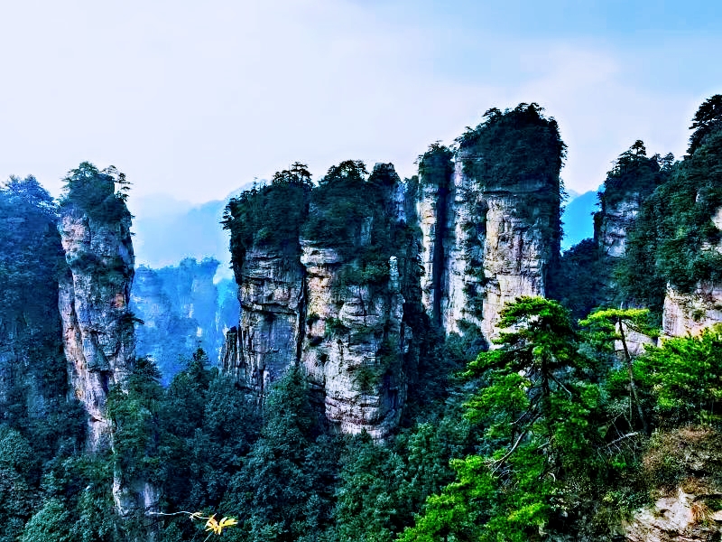 zhangjiajie-forest-park-2.jpeg