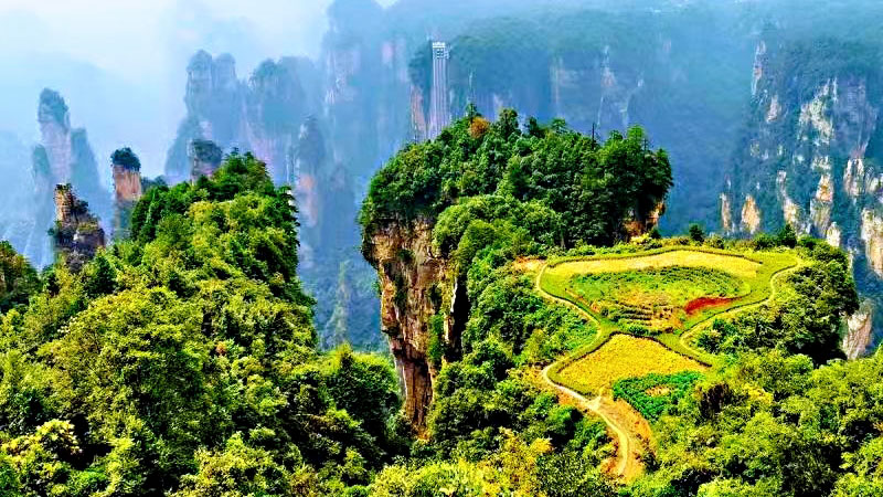 zhangjiajie-forest-park-7.jpg