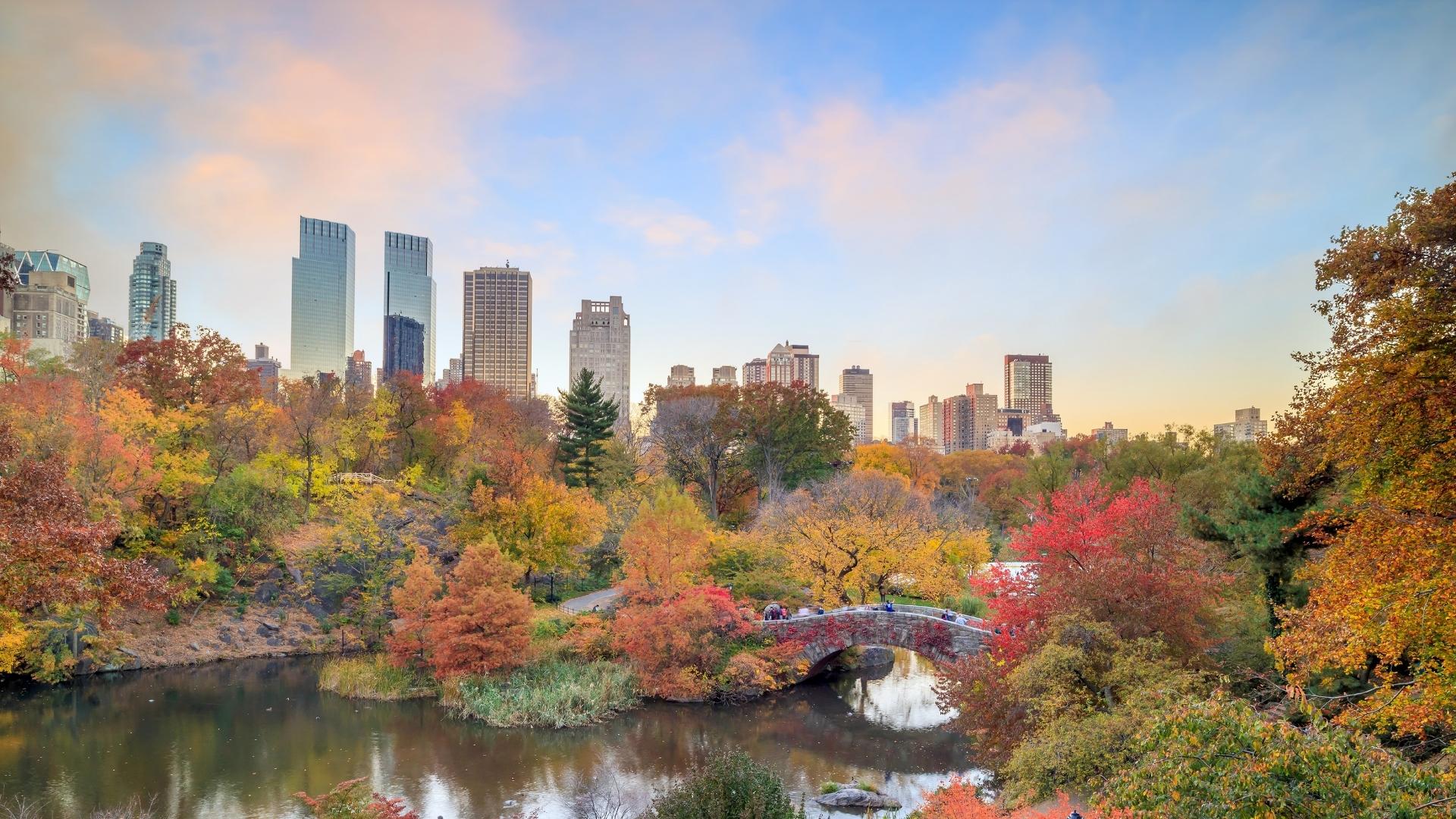 FAll_Guide.jpeg FAll_Guide.jpeg