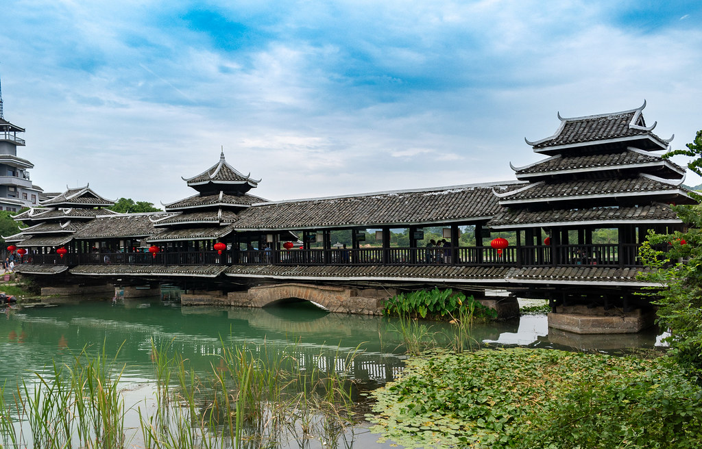 53565103438_62b676df52_b.jpg 53565103438_62b676df52_b.jpg