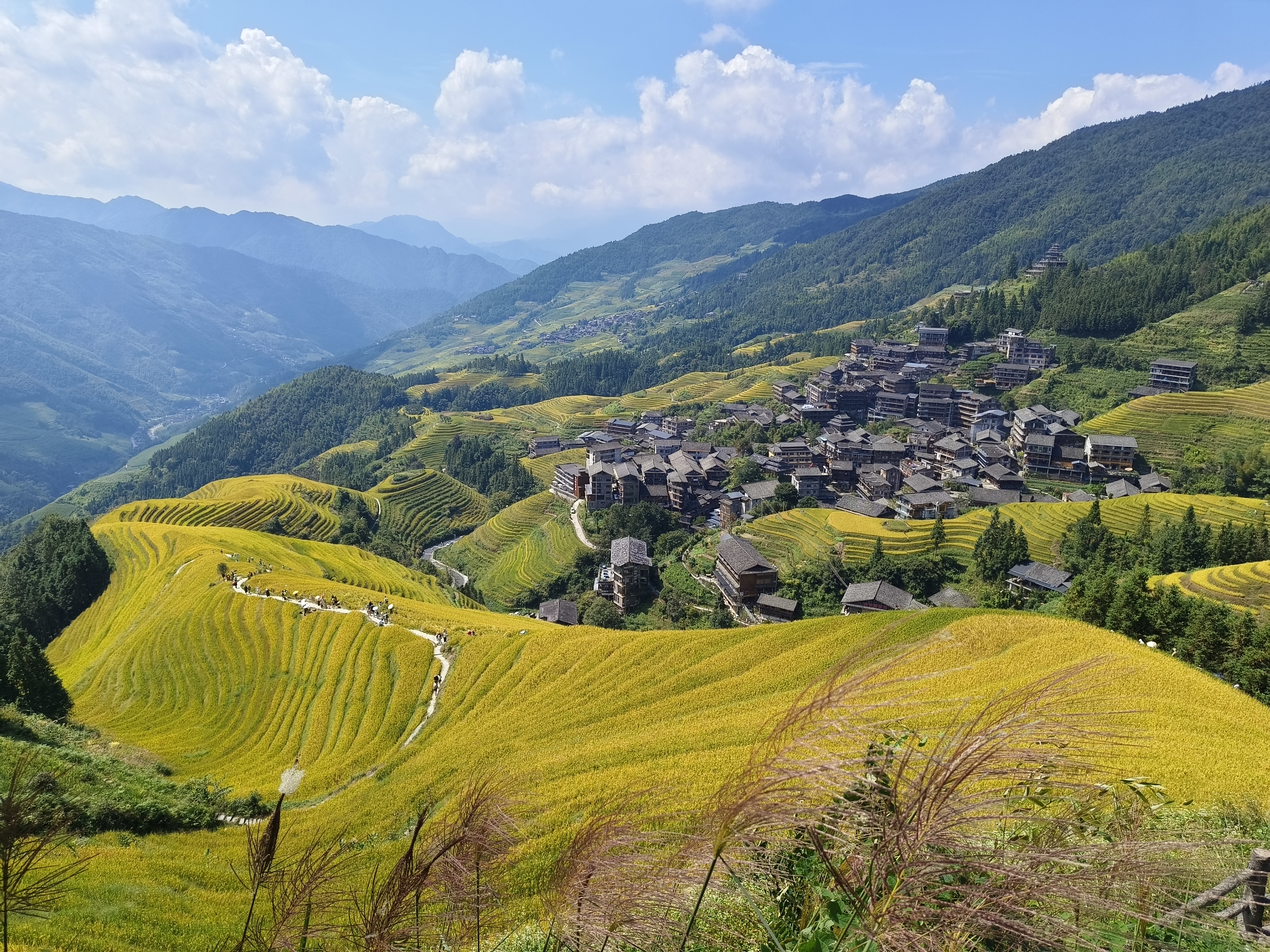 Weixin Image_20251002192309_273_126.jpg