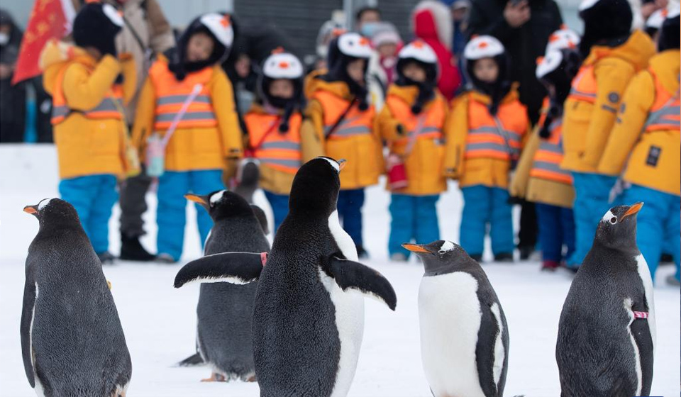 88aedd1ce4d52705981849.jpg 88aedd1ce4d52705981849.jpg