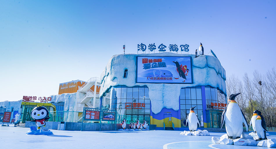 Why Harbin Polarpark Is a Must Visit Attraction in Harbin, China