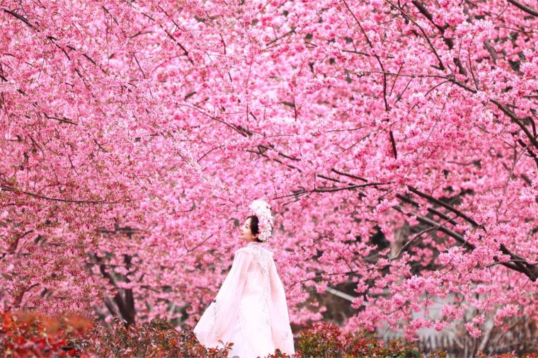 Best Time To Visit Chengdu – Weather & Seasons With Travel Tips 2026