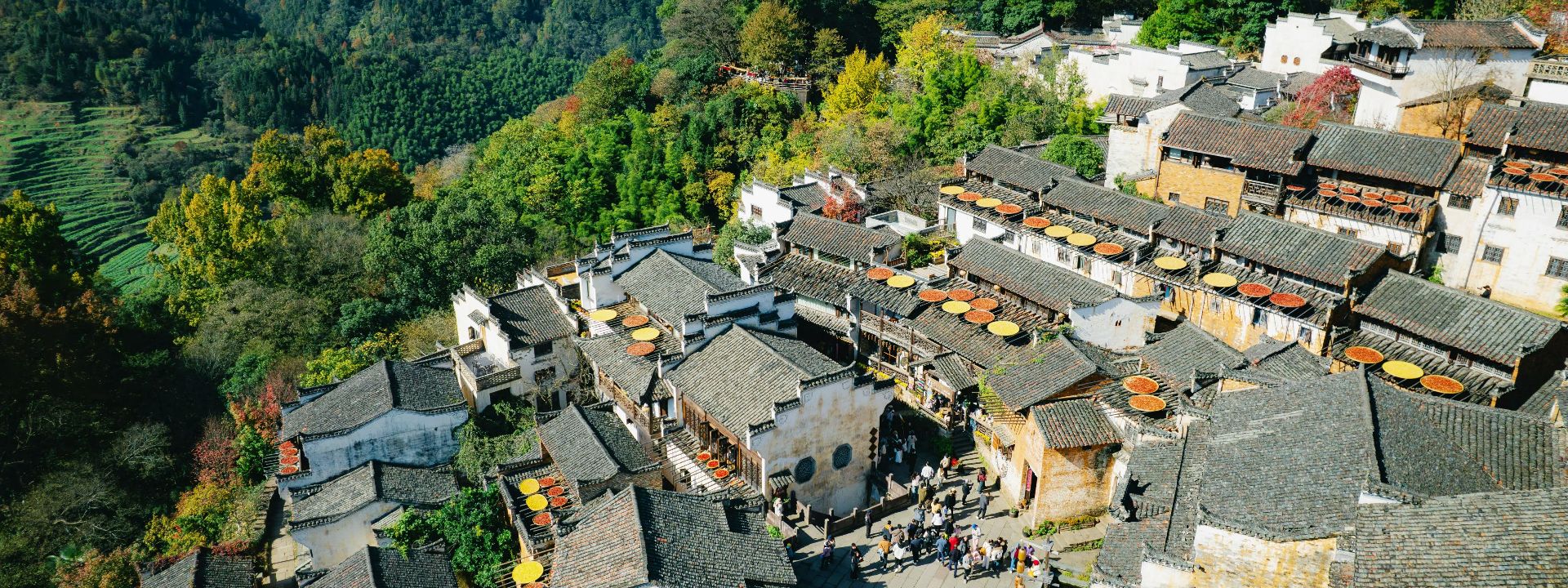 Huangshan Tours